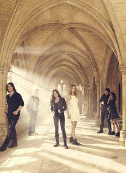 dailyva:    New Vampire Academy Promotional