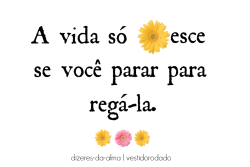 dizeres-da-alma:  &ldquo;A vida só floresce se você parar para regá-la.&rdquo;