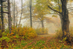 earth-photography:  Maine 