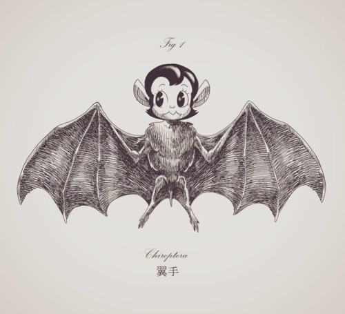 Chiroptera. He subido nuevo diseño para camiseta a Teepublic! Aquí tenéis el li