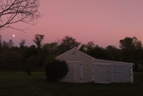 Full Hunter Moon over Forsythia Hill Moonrise Wednesday Oct 20 10 pm and Moonset Thursday Oct 21 5 a