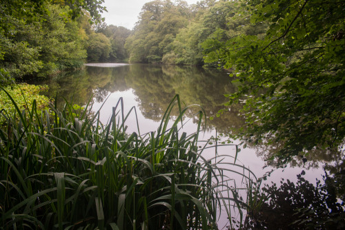 Blog update: Nymans, West Sussex