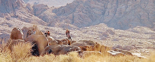 creating-tabs:Man, we decided to leave this place just one damn day too late.Tremors (1990), dir. Ro