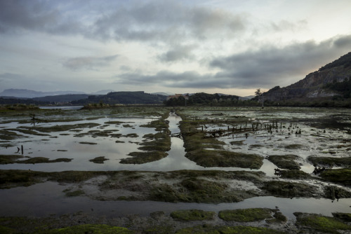 Santoña