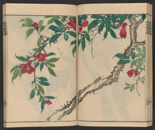 heaveninawildflower: ‘Kinpaen gafu’ by Bunpō Kawamura (Japanese, 1779-1821).  Publ