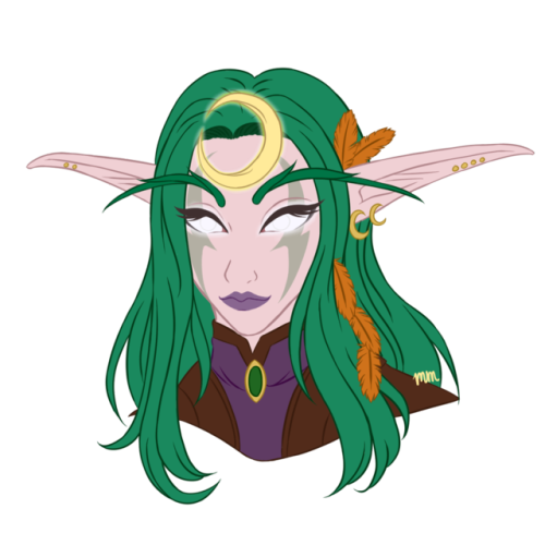 manymooa:One of my World of Warcraft characters, a Night Elf Druid named Aiumi Shadowbloom! Just fla