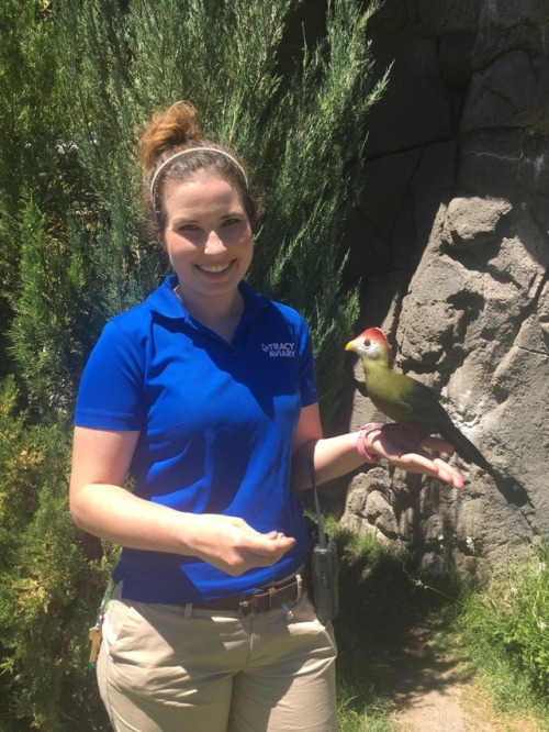 aquaristlifeforme: Part of being a newcomer to the Bird Show team is building lasting relationships 