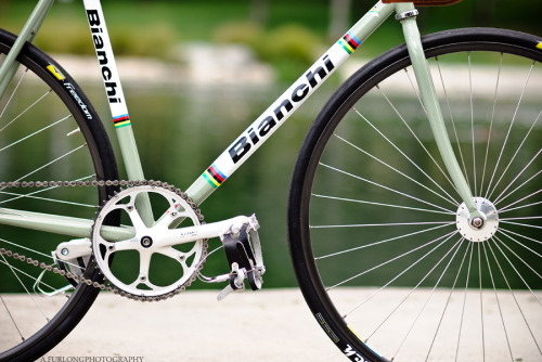 bianchi pista green