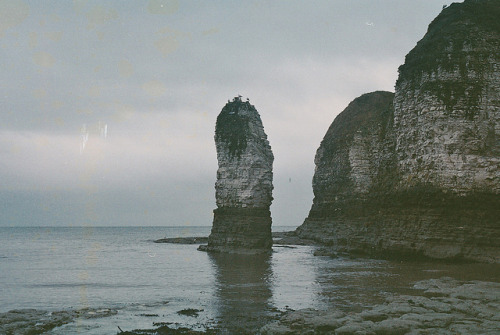 goingonsoeasily:  untitled by Lil Bavvers on Flickr.