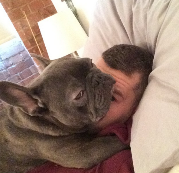 unicorncrackaddict:  Russell Tovey and his french bulldog Rocky. *swoon* X 