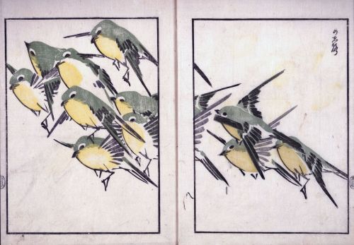 A Flock of Birds Sato Suiseki (Japanese; fl. 1806–1840)1820Color woodblock printIn: Suiseki gafu, ni