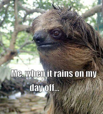 snout:my mom’s great meme!