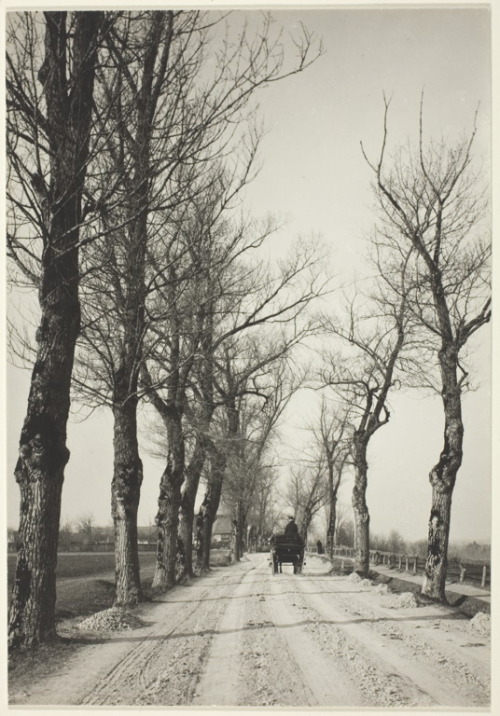 November days, Munich, 1887, Alfred Stieglitz. American (1864 - 1946)