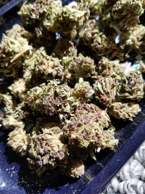 stoned-adventurer: MihnDingo // 21% THC What I mean when I say I like receiving flowers.