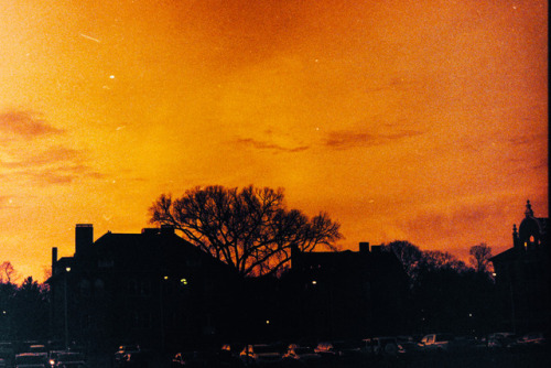 Redscale 35mm filmInstagram: @craigrobertson_