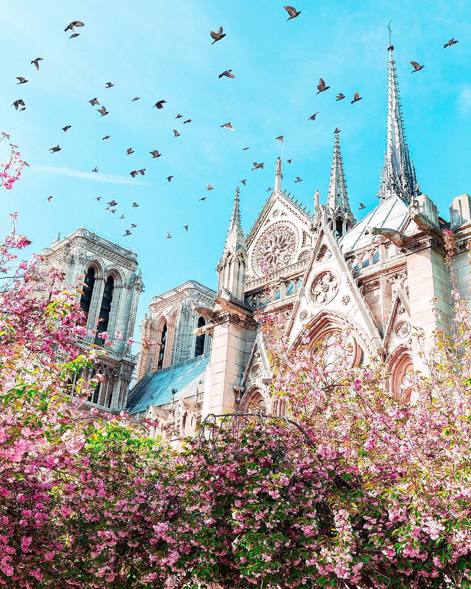 inkxlenses:Cathédrale Notre-Dame de Paris | © Lesia