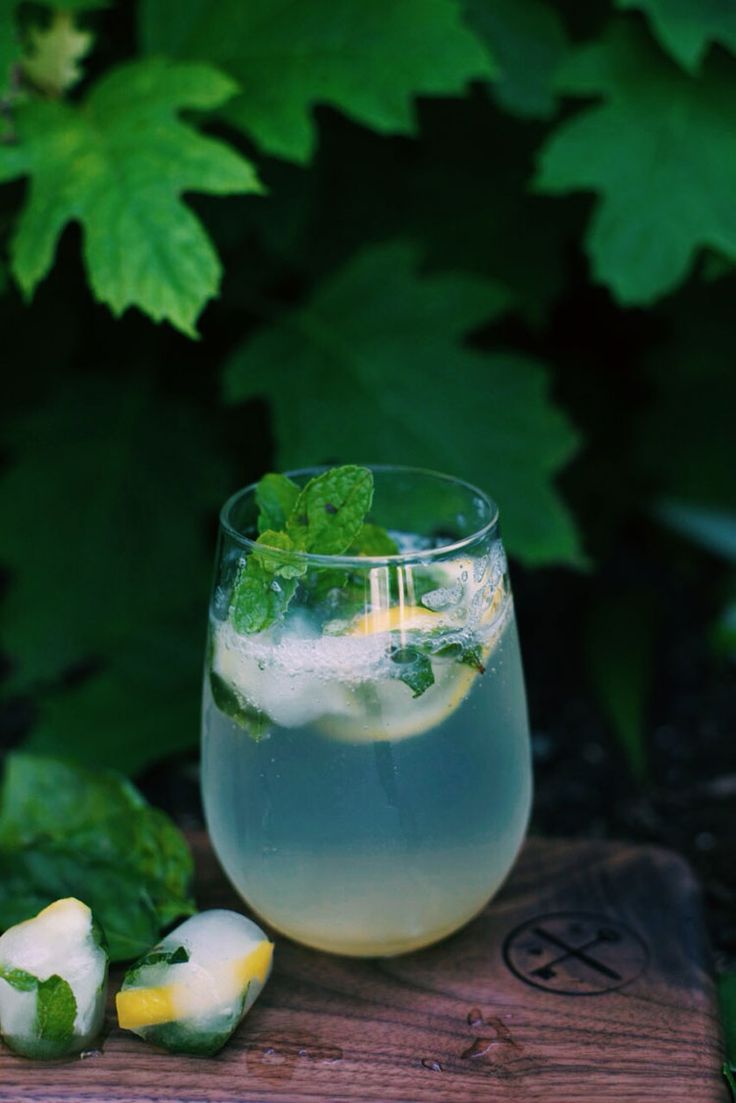 theantidote:
“Lemon Basil Mojito
Freeze: mint, basil & lemon slices
Muddle: sprig of basil, sprig of mint, 1 t. honey, 1 t. lemon juice, 3 T rum
Add ice cubes and top the glass off with seltzer
”