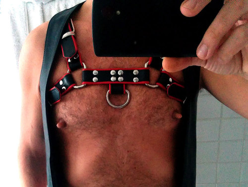 https://nipplepigs.tumblr.com/post/139186610465