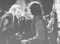 forestofmyown:  Learning that this:  is like a serious hug to elves just made this: