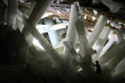 rhamphotheca:  The Cave of the Crystals is