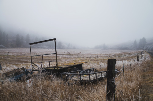 I&rsquo;m glad I have this photo to remind me of the dreamy stillness of this day.  Even the horses 