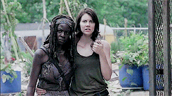 hecaeteh:  Fangirl Challenge - [8/10] tv-series - The Walking Dead 