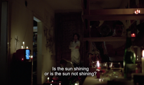 In a Year with 13 Moons (In einem Jahr mit 13 Monden) 1978, dir. Rainer Werner Fassbinder