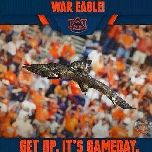 Rise and Shine @_aufamily . It is a Noon Kickoff Gameday. Brew...