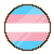 transgender flag