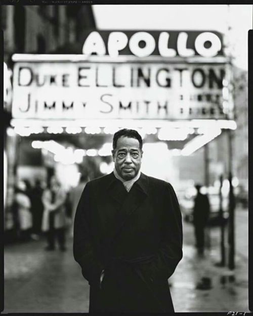 harlemcollective: “There are two rules in life:Number 1 - Never quitNumber 2 - Never forget rule number 1″ - Duke Ellington.