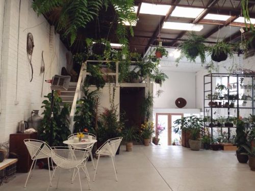 thepaperbeast: Loose Leaf - Collingwood, Melbourne.  toughstrips and I seized the day with early coffees and plant adventures. Can’t rave enough about this place. 