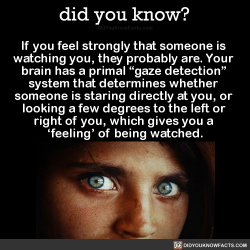 did-you-kno:  If you have a strong feeling that someone is watching you, they probably are. Developed as a primal survival skill, your brain has a ‘gaze detection’ system that fires an alert when someone is staring directly at you or looking a few