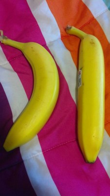 hlel:  Look at how straight this banana is