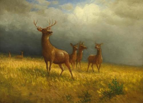 lionofchaeronea:Three Deer and a Stag, Albert Bierstadt, ca. 1885@themalhambird @princess-of-france @nuingiliath The Lan