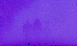 filmgifs:I dream about being with you forever.Twilight (2008) dir. Catherine Hardwicke