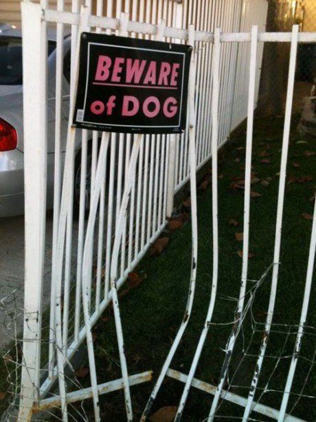 &hellip; I&rsquo;d be climbing a tree lickity shplit if I saw this&hellip;.