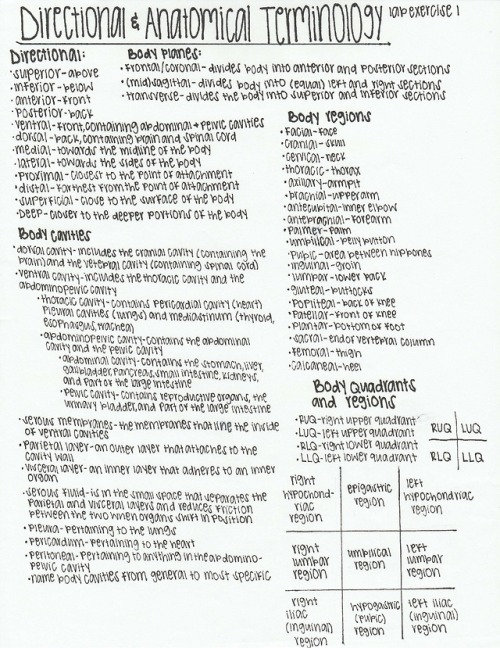 Directional and Anatomical Terminology!These are from Bio day 1