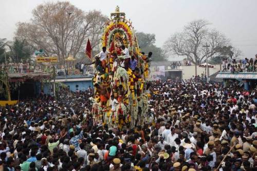 Aravan’s head is worshipped at Koothandavar temple, he is given a temporary body when placed on the 