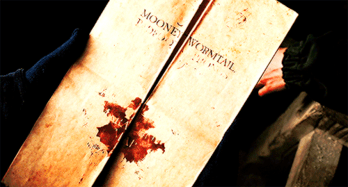 daenerys-targaryen:Harry Potter and the Prisoner of Azkaban (2004) dir. by Alfonso Cuarón “Why, dear