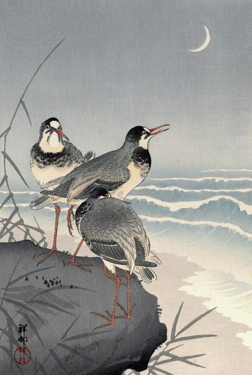 fravery:Sandpipers on the Beach, Ohara Koson, c.1930s-40s; Munson Williams Proctor Arts Institute (M