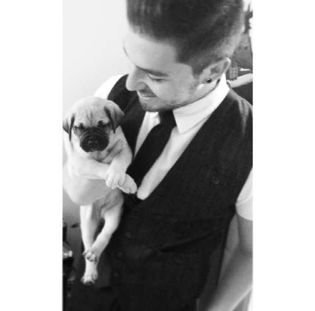 set-itaflame:  Finally, got my pug. Met my baby girl, Buddha. 