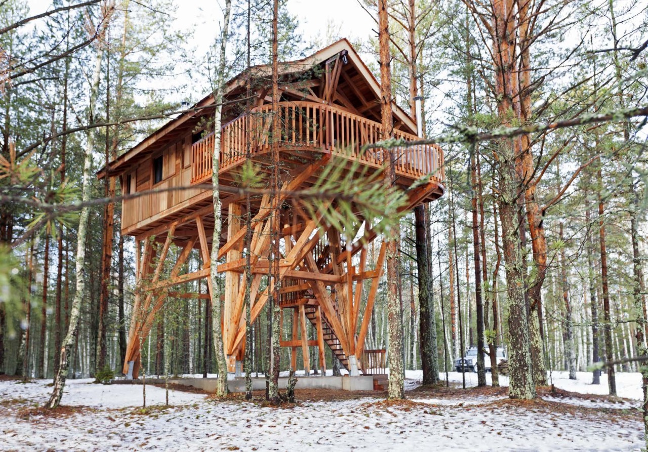 archatlas:  Rêvons Perchés La Cabane Perchée   For a happy life, dream high in