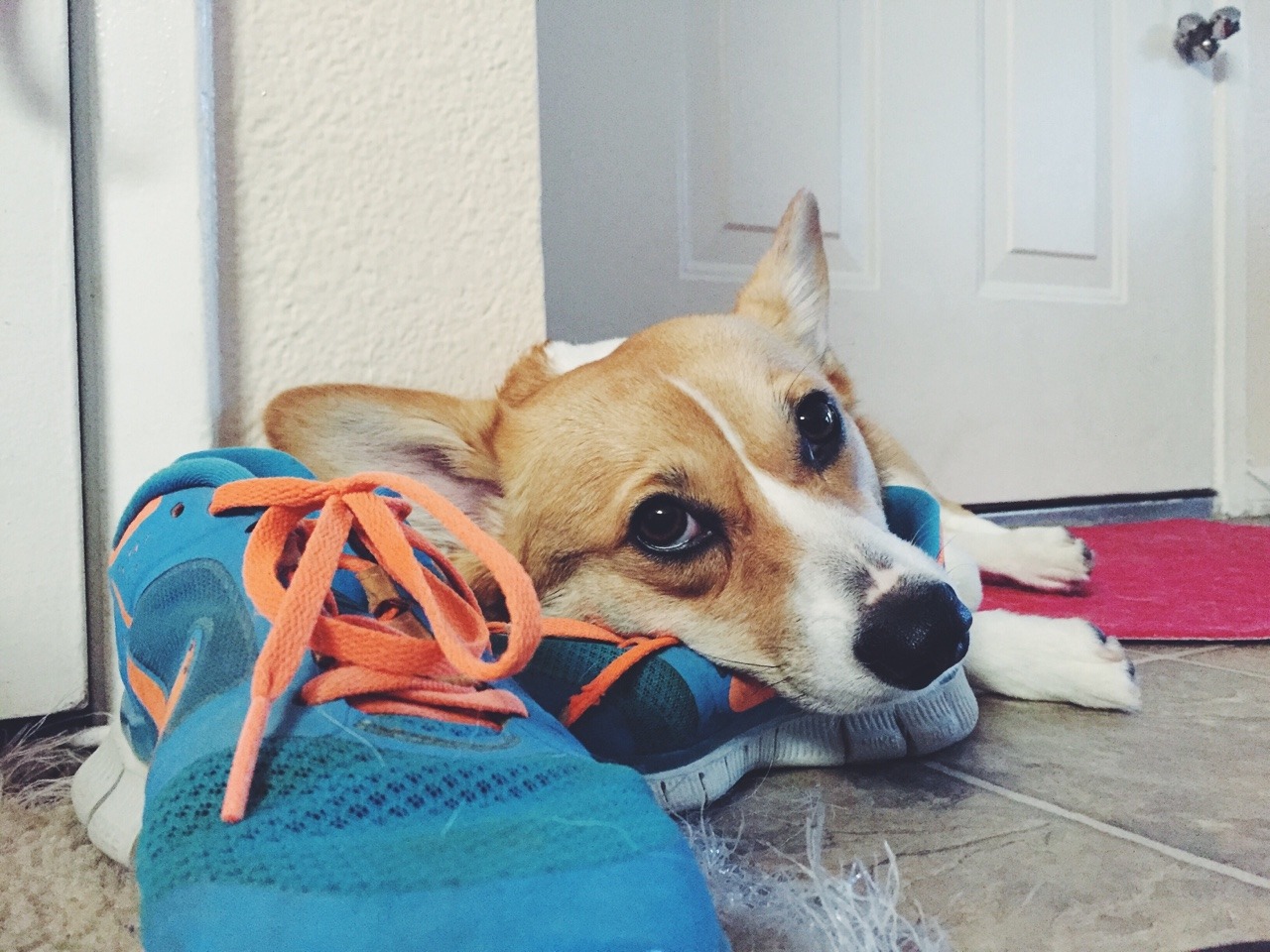 gatsbyadventures:  That feeling you get when you’d rather nap than go work out.