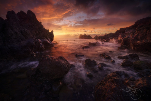 alldayphotography:  Primordial Beauty by Enrico Fossati: Fine Art Photography