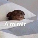 alesaaa-deactivated20210614:amo tumblr porque siempre hay alguien que escribe las