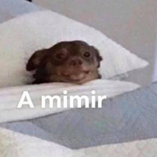 alesaaa-deactivated20210614:amo tumblr porque siempre hay alguien que escribe las