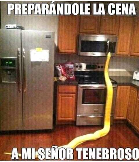 somospandaspordentroyporfuera:  Nagini siempre tan eficiente!-Una chica invisible. 