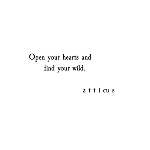 Porn Pics atticuspoetry:  ‘Find your wild’