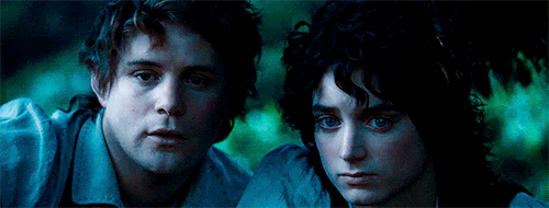 Our Favorites: [Day 05/24] Anastasias FavoriteFriendship (Lord Of The Rings) Frodo And Sam 