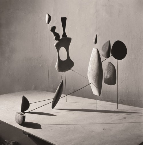 fitzandco:Calder by Matter Constellation:Herbert Matter, Vertical Constellation with Yellow Bone, 19